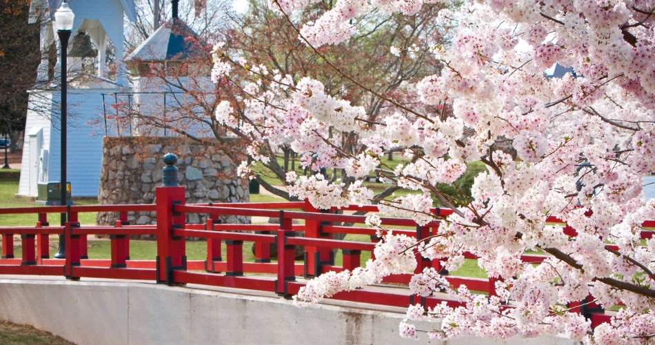 A Weekend Guide to Huntsville, Alabama