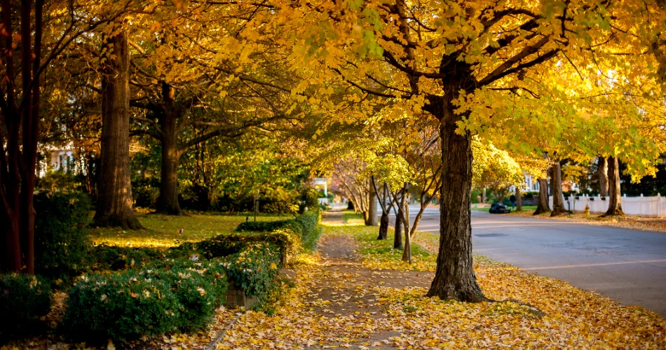 A Weekend Guide to Huntsville, Alabama