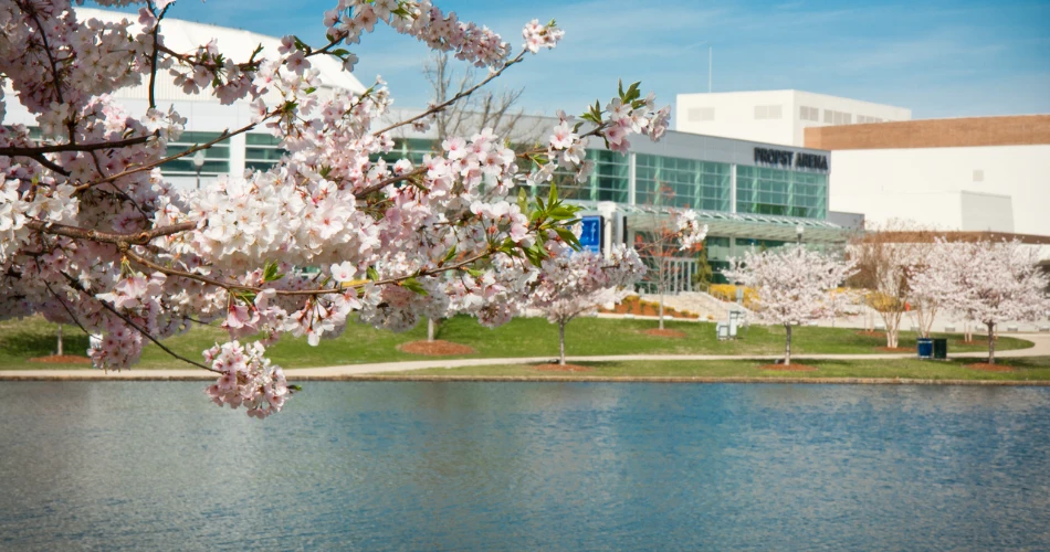 A Weekend Guide to Huntsville, Alabama