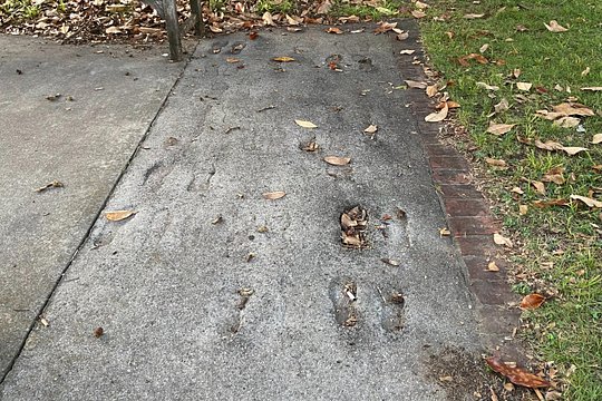 Tour image 2